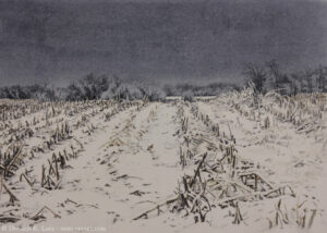 January Cornfield