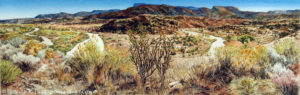 Rio Chama Near Abiquiu