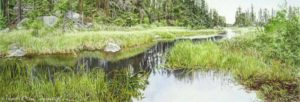 River Of Grass Boundary Waters Minnesota