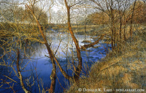 West Branch Winter Afternoon